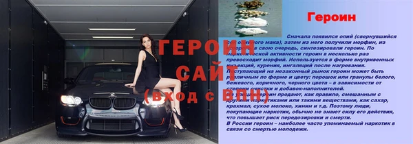 герыч Алексин