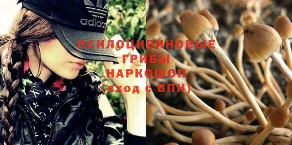 молекула духа Алзамай