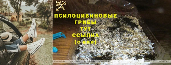 молекула духа Алзамай