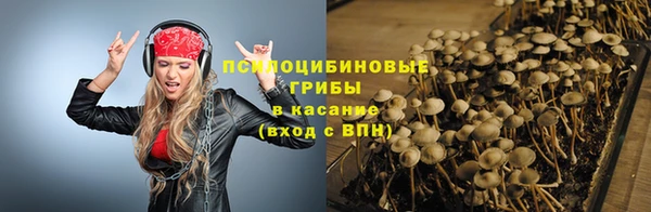 молекула духа Алзамай