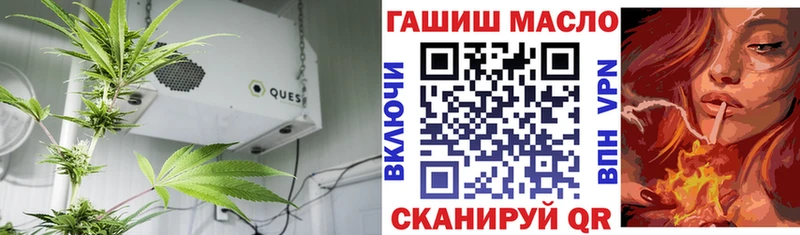 ТГК жижа  даркнет какой сайт  Рошаль 
